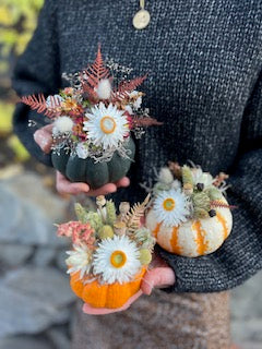 Mini Dried Pumpkins
